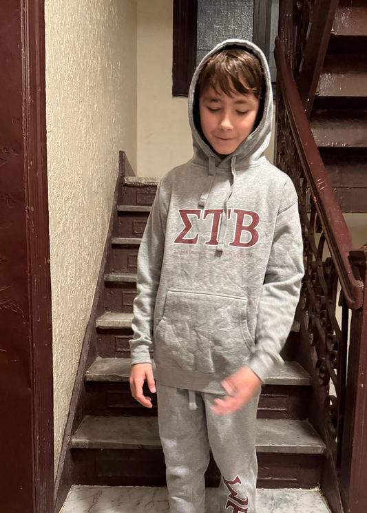 ΣTΒ - Stab University Hoodie (Grey)